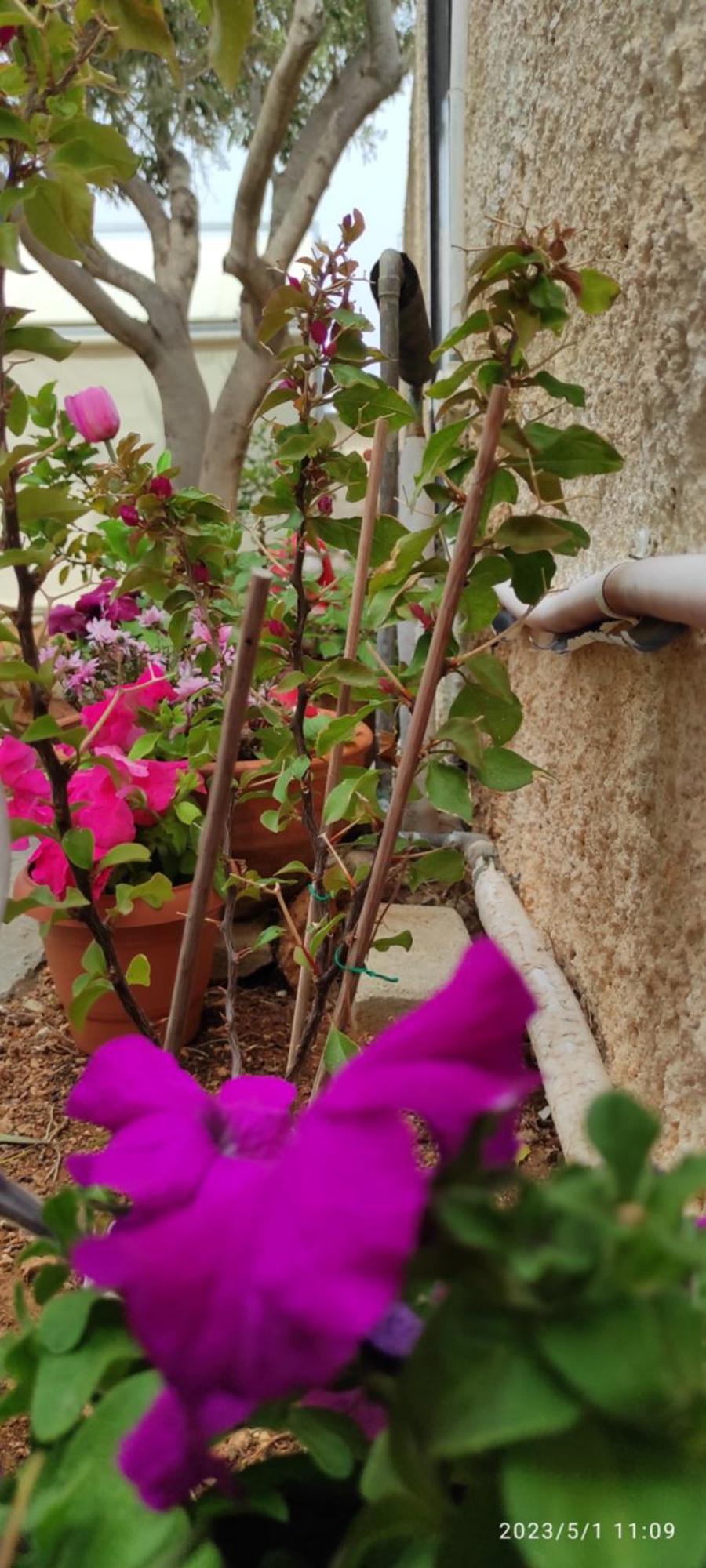 Secret Garden Home Lagonissi Attiki Melissourgoú Εξωτερικό φωτογραφία