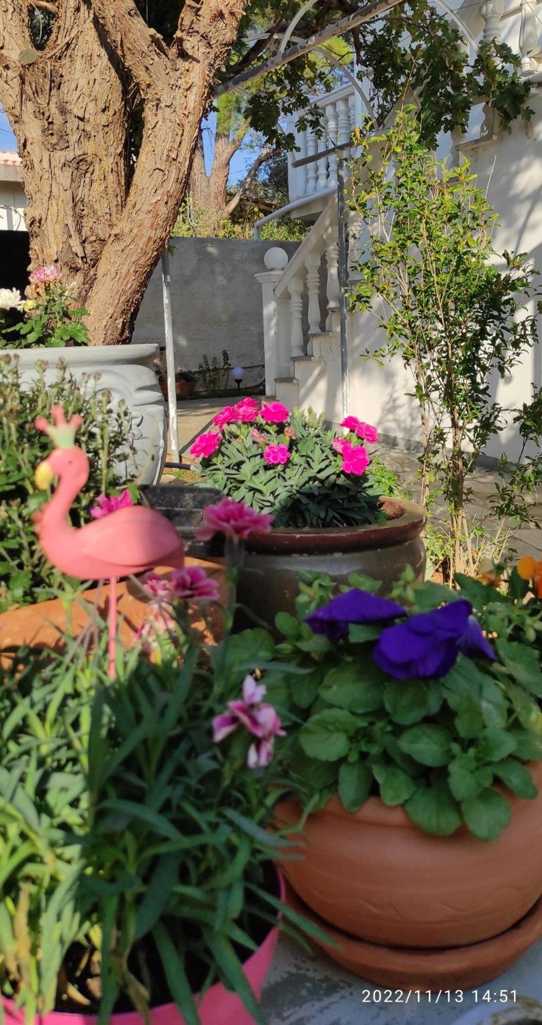 Secret Garden Home Lagonissi Attiki Melissourgoú Εξωτερικό φωτογραφία