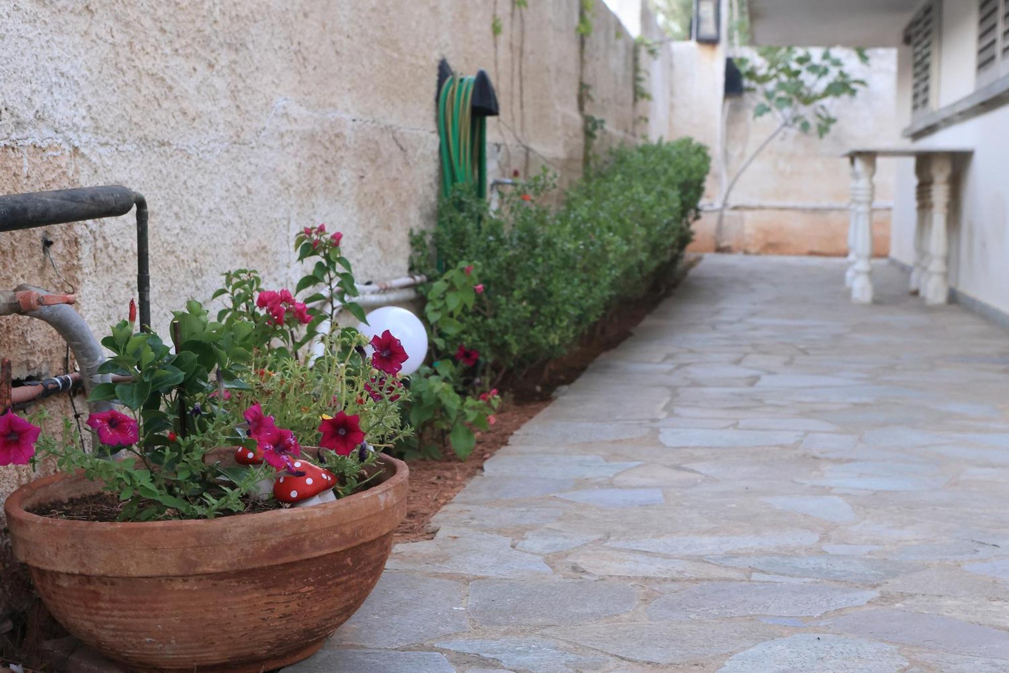 Secret Garden Home Lagonissi Attiki Melissourgoú Εξωτερικό φωτογραφία