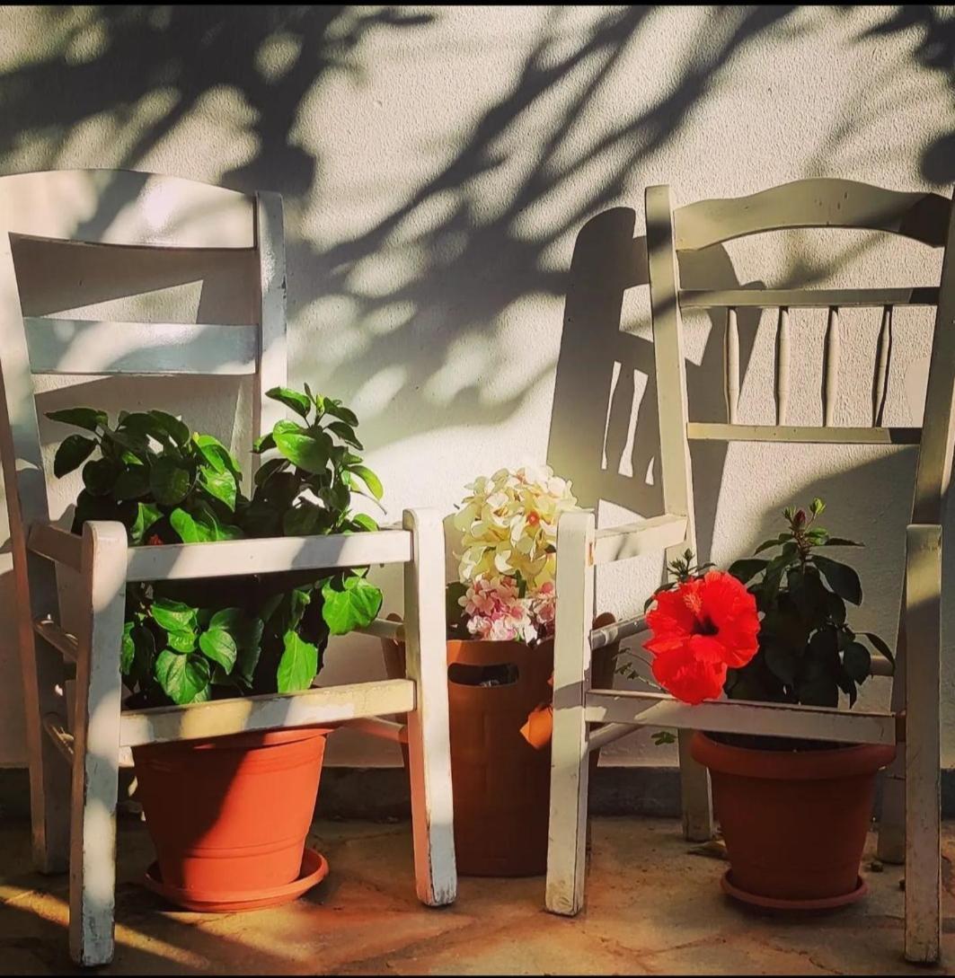 Secret Garden Home Lagonissi Attiki Melissourgoú Εξωτερικό φωτογραφία